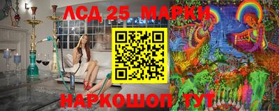 mdpv Гатчина