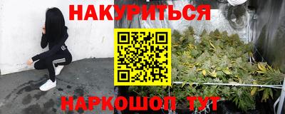 mdpv Гатчина