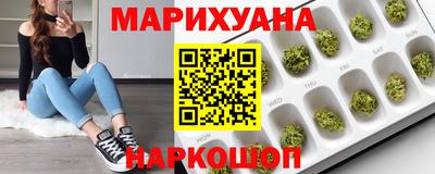 mdpv Гатчина