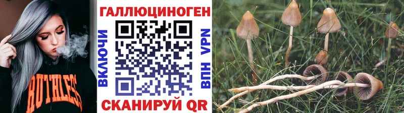 гидра маркетплейс купить наркоту Изобильный Псилоцибиновые грибы прущие грибы
