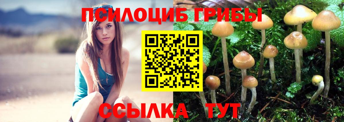 Галлюциногенные грибы GOLDEN TEACHER  Вход с VPN  Изобильный 